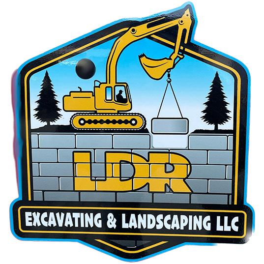 LDR Logo